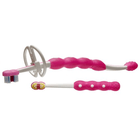 "Learn to Brush" Set