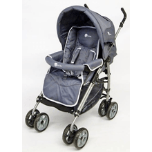 Buggy "A901"
