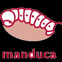 manduca