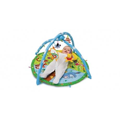 Magische Spieldecke Winnie Puuh