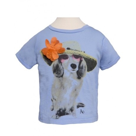 American Outfitters Hund mit Hut