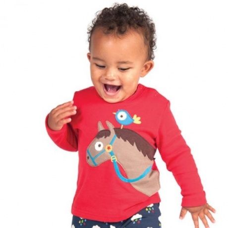 Frugi Blume, kbA