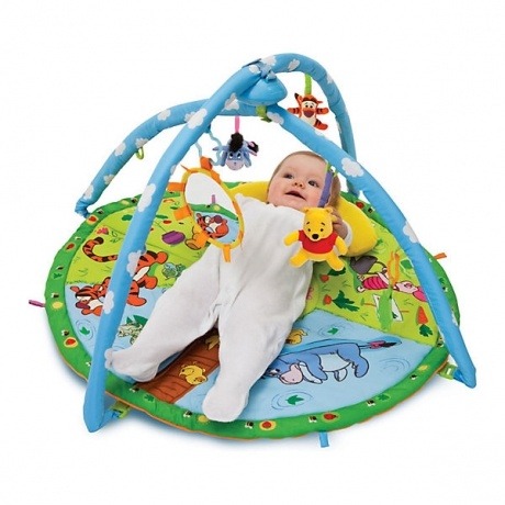 Magische Spieldecke Winnie Puuh