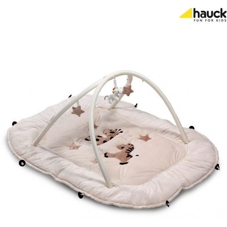 2 in 1 Activity Center