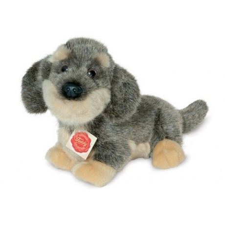 Teddy Hermann Rauhaardackel