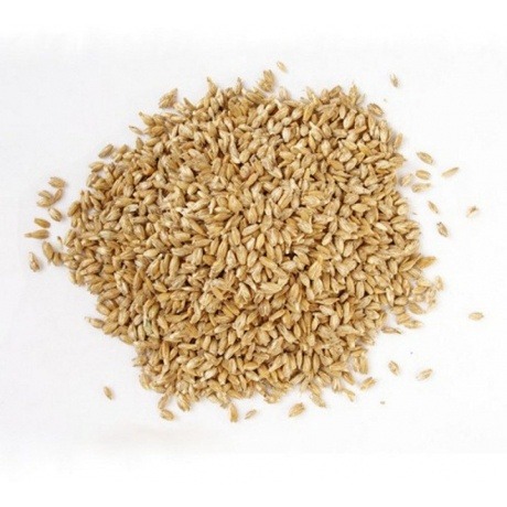 Nachfüllung Stillkissen Dinkelspelz