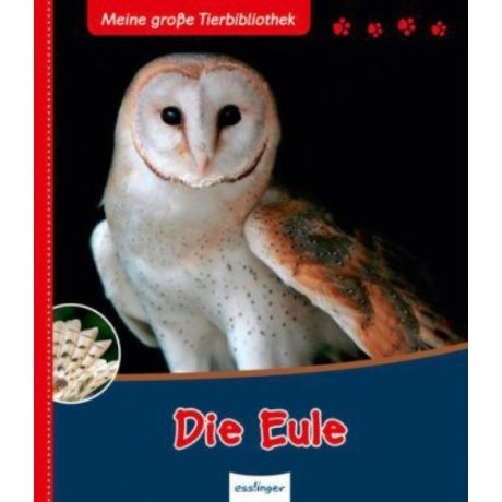 Meine große Tier-Bibliothek: Die Eule