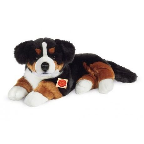 Teddy Hermann Berner Sennenhund