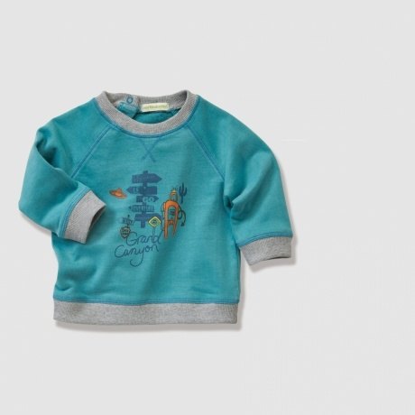 Sweatshirt für Baby Jungen
