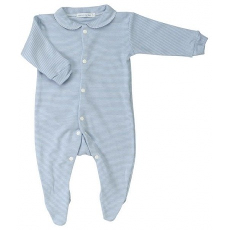 Organic for Kids Classic