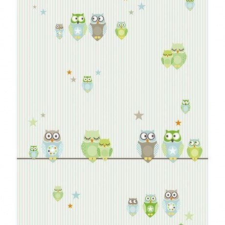 Tapetenwandbild "KLEINE NACHTEULEN"